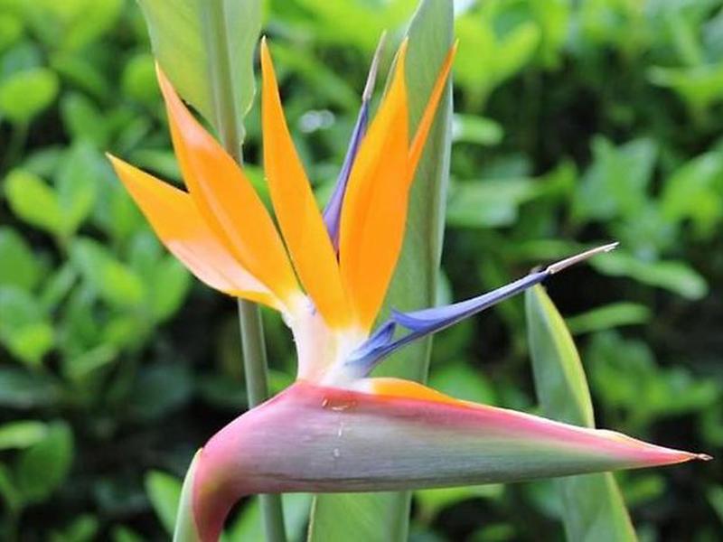 8971DA3CE68E75C9A74CCA777EF87AAF