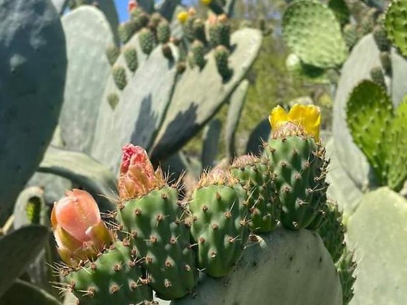 7078F8A9ED064255534F86F1B5089E89