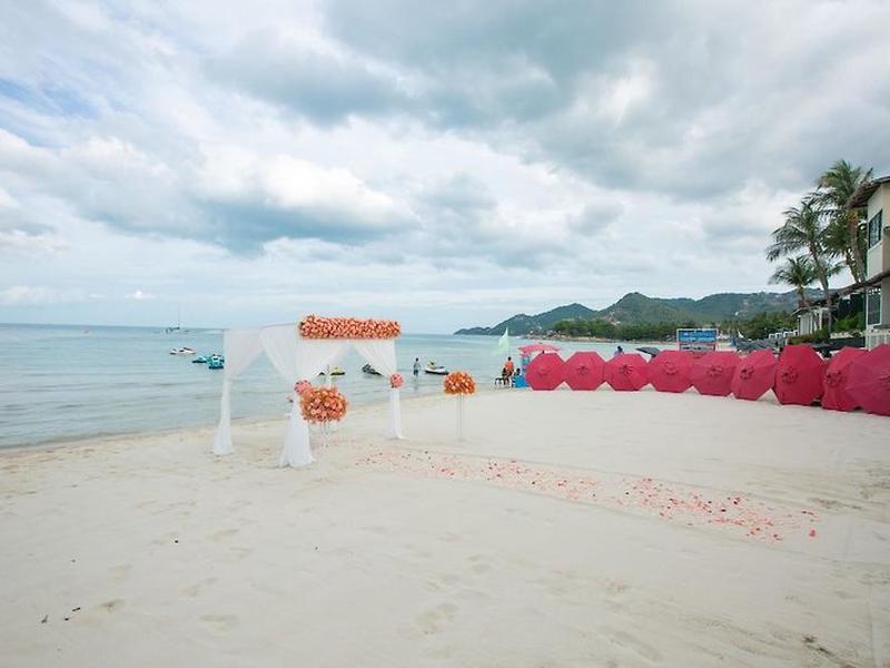 7F81D36B5E078C29FDFE5695996E9210