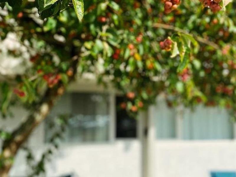 59411C2CD8194AEFCDEB559248F84438