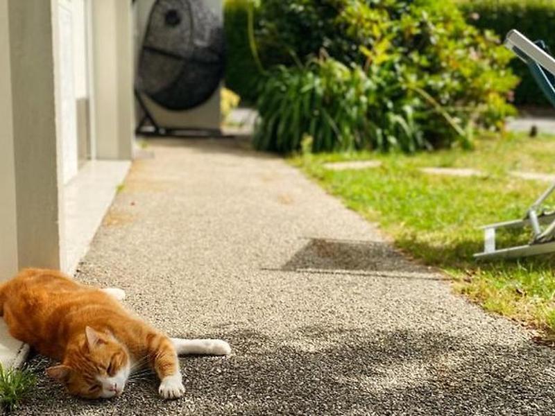 5C0F289D523DDFC3B1C5B78702F93042