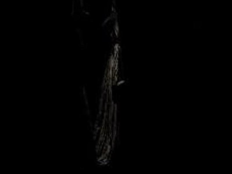 10801F23514342A7321F314D6F027AAC