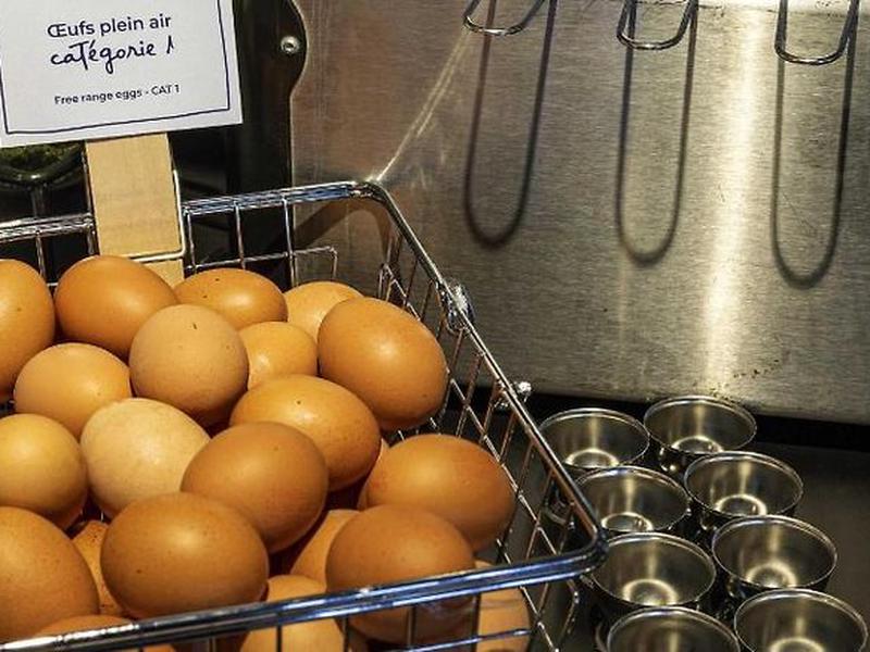 0DC28050F15A442D3C343DDE22C58C02