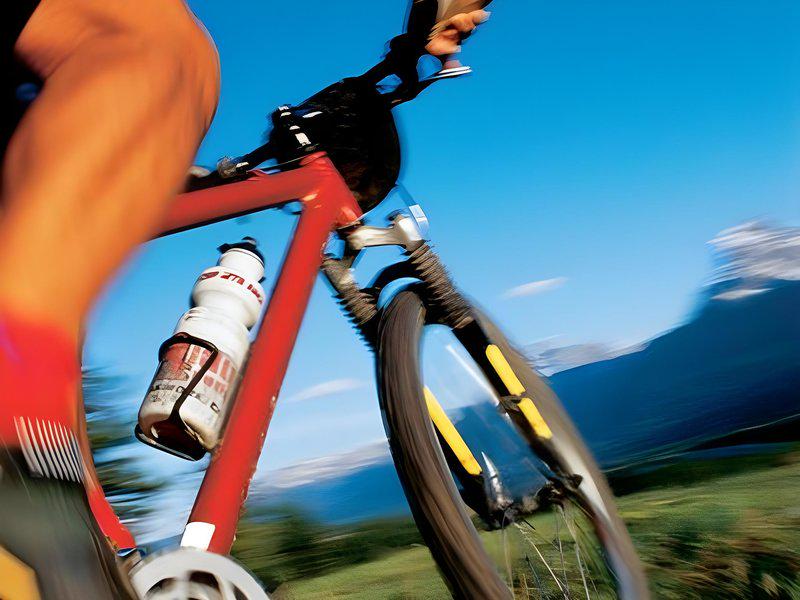 B1397AAC90D55356E7500C6FBEE22912