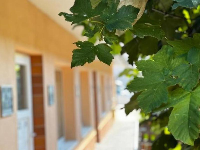 8E49FA87FCE11367570CE00530C00534