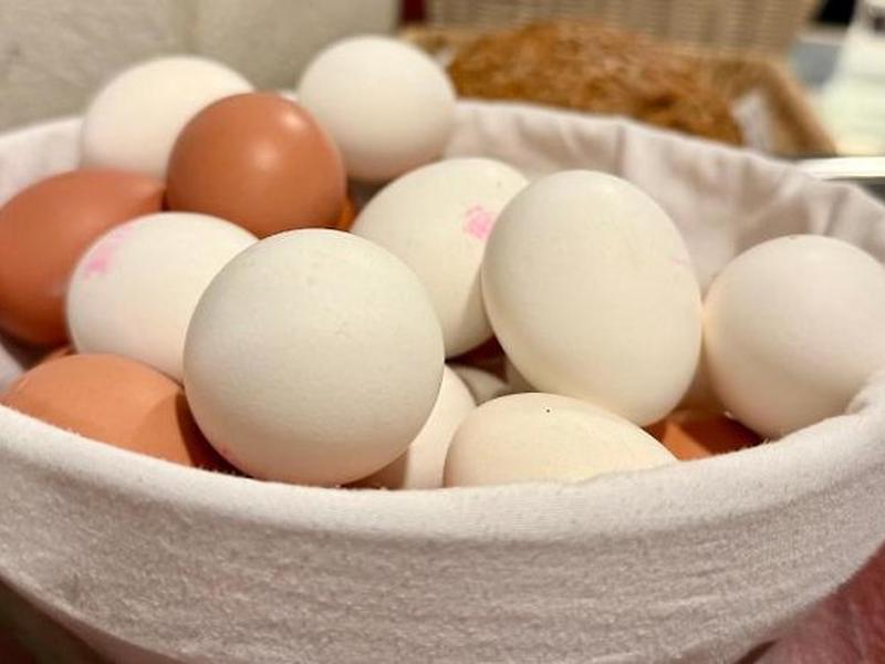 E6514DAA5C8802843AE3FC20200B44BF