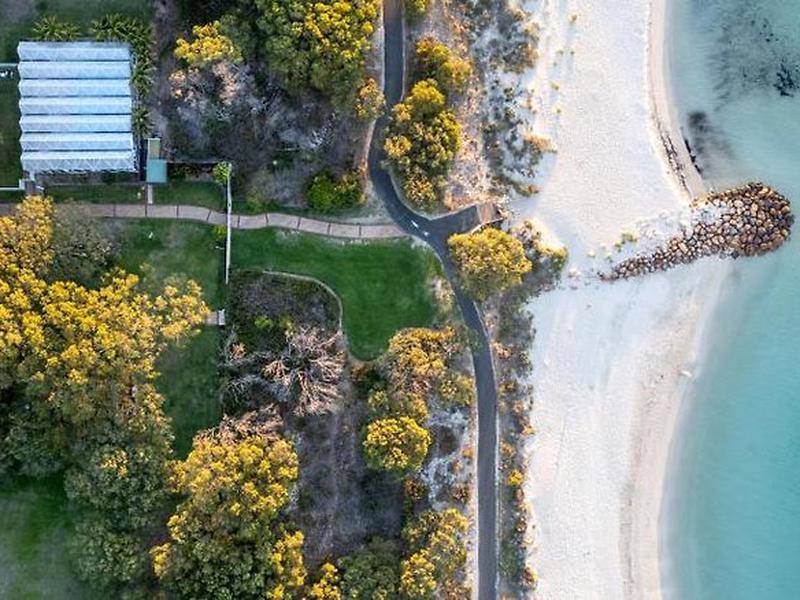 609D45164BF9BE6E897FF646A589953A