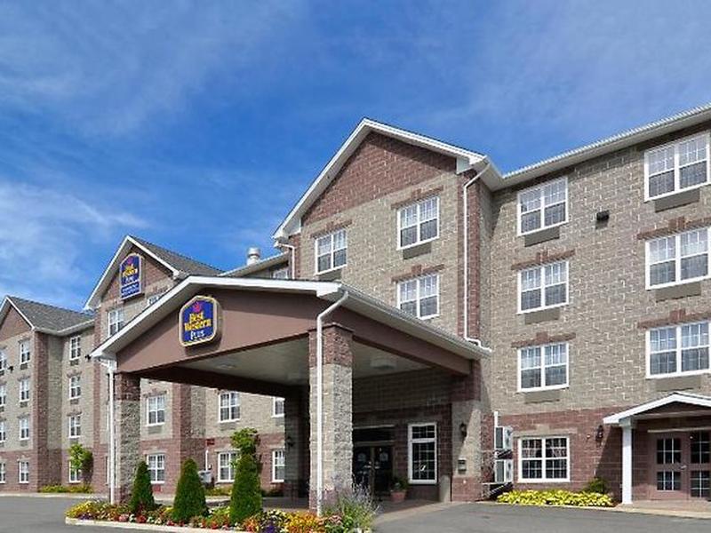 701555AD4ABACA3A0376CEB510E941C4