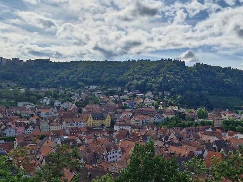 A021BE4B0E602D9D8A396C13BFF366FA