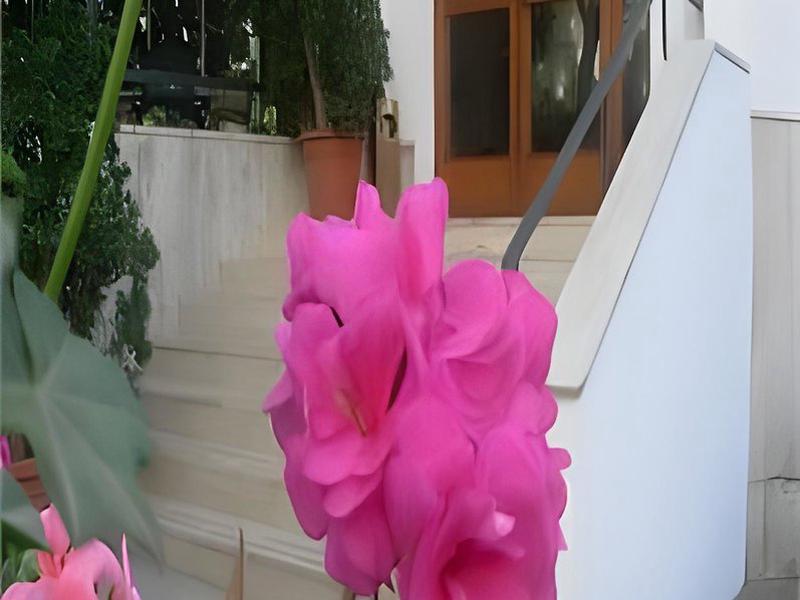 C4DADEEDCAFABBD8FFDC718DCD0344B9