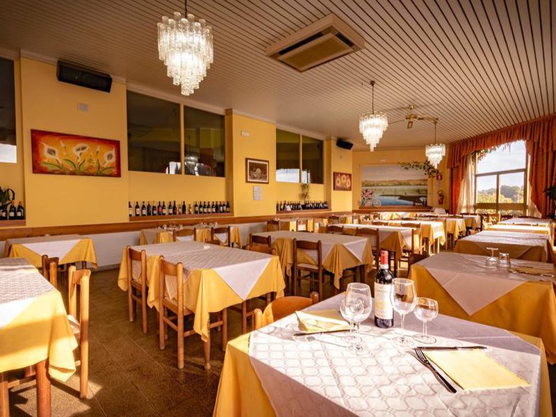 BBA87B41F2E638D0BB7A1689929B7769