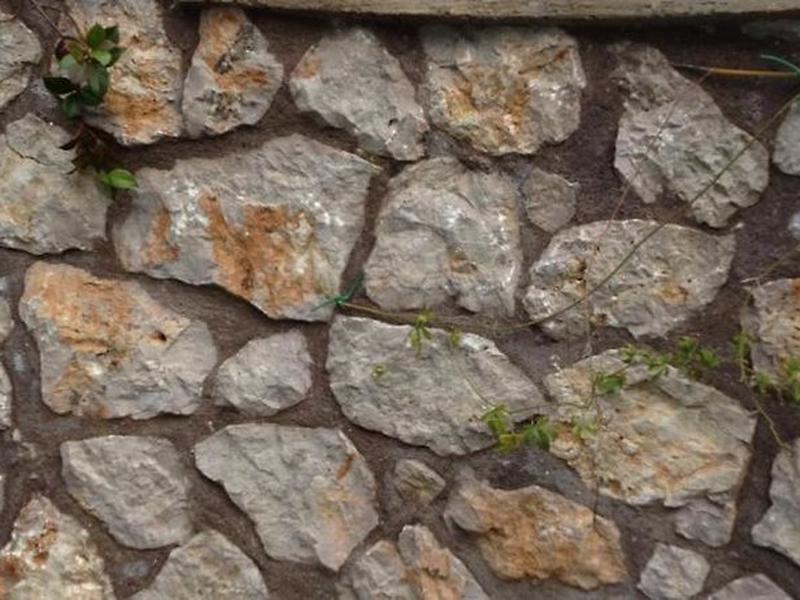 8F4B8C1D3FD08CC8AD3A95EBB31C5BCF