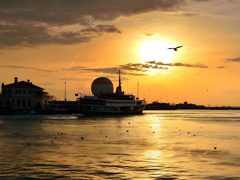 ECE6429DCB440584CE91DCE50C8D17FA