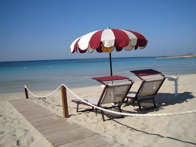 DECD3EAF7B76462C06C37E274414732F