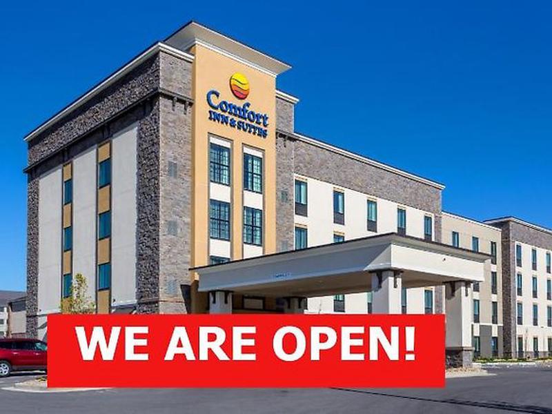 724CC7B3D019620B9C78FC89371D981C