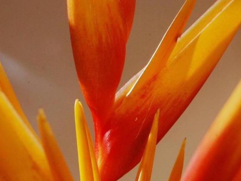 3C14B68D48EC4B2A426F74BF93767A34