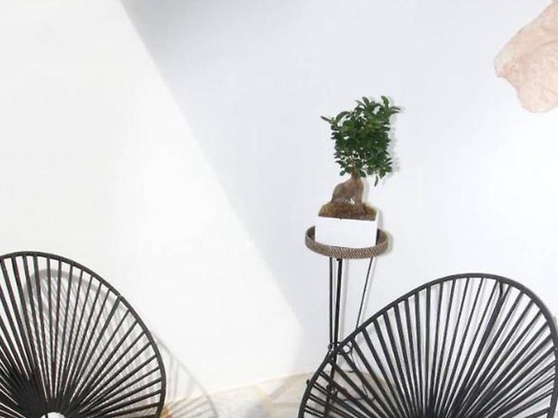 B99FA6E49E621B413B71166E6CD235FE