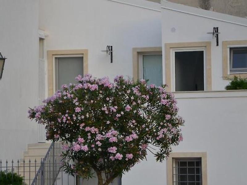 E1605D5CD5E1784DA8731BE1A1463F7D