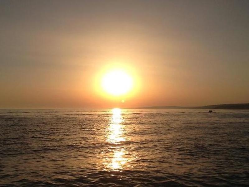 CC30C7939F4B229AFC819C3C7BB71F01