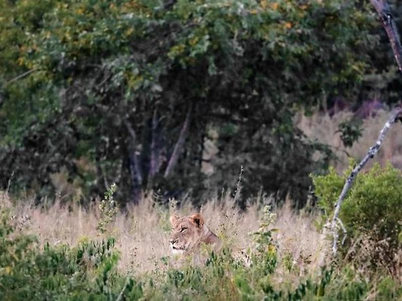 517AD86A0148EB18B47B05E5710B0AF0