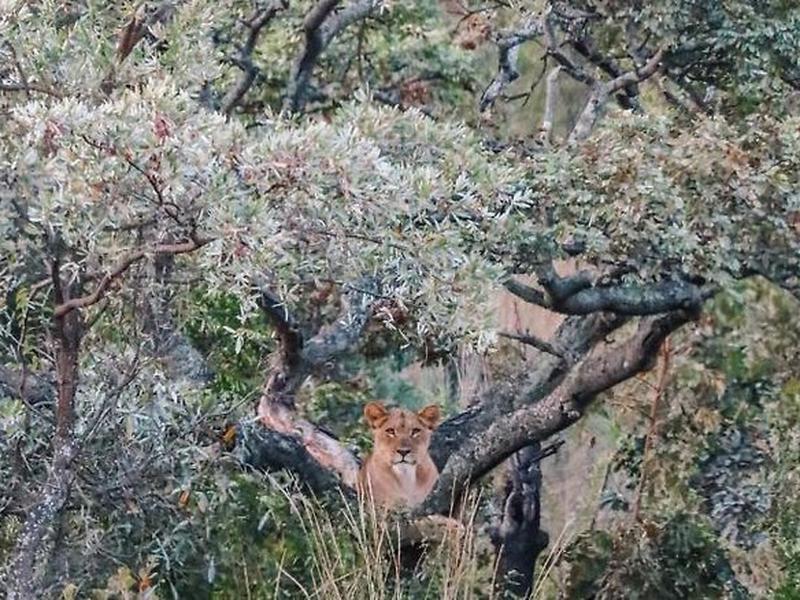 0A2CFDD68FE4D487EAE65BBF1C8DBBD1