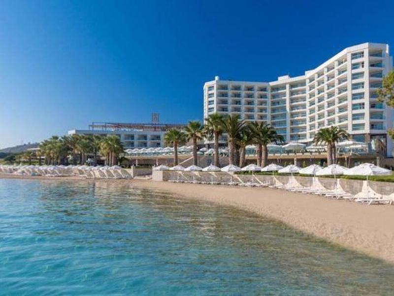 53D30208D359923A6100981E30F1605A