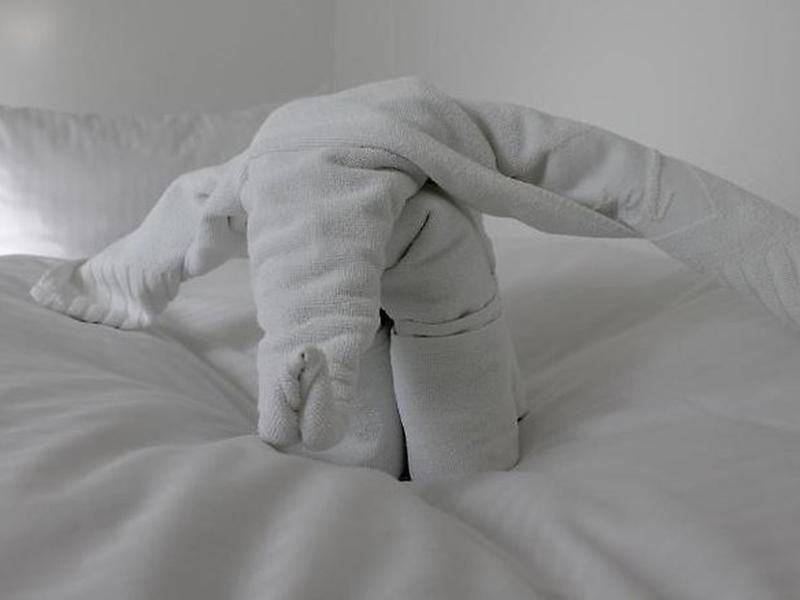 C1DD8C9BBD1A7213D608C6DDF3E0AB3C