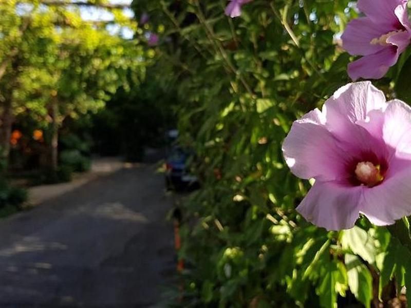 3D433544C052210C8290690A50EE7207