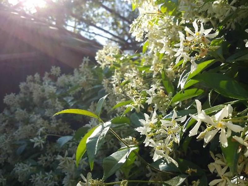 2764096745F1B1105769764E4367457A