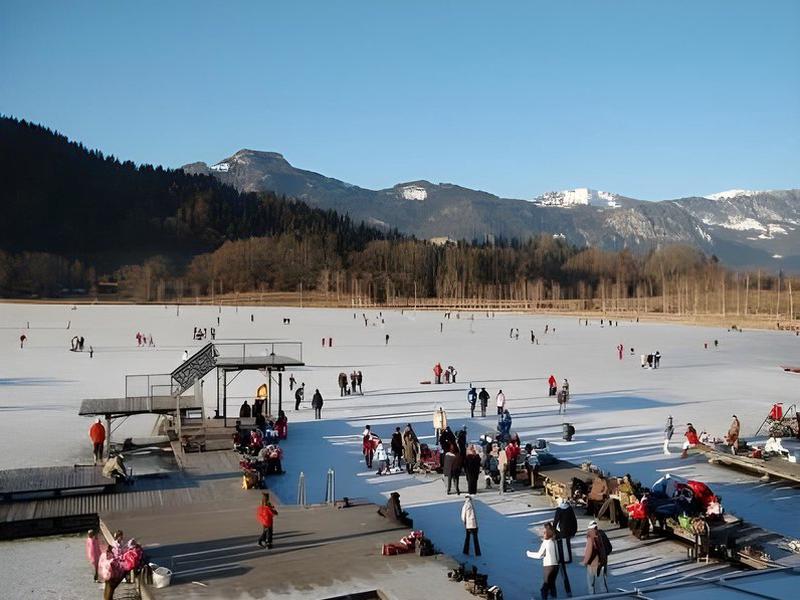 C6E141DE009757308012A7DD0447E5AD