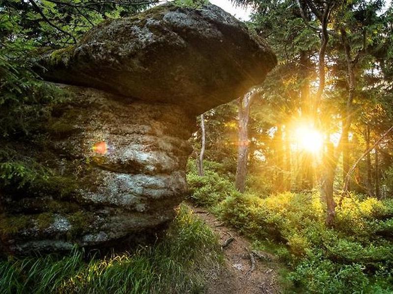 0B688A9671D72B04BAE9479F81996582