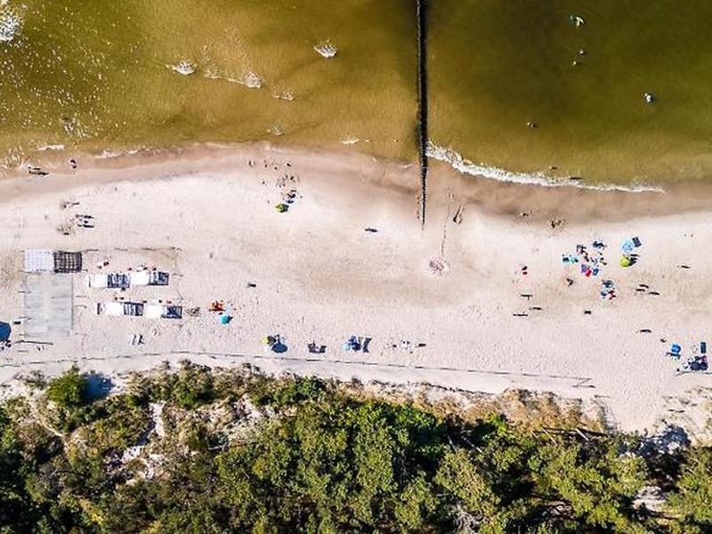 D8F381EAE249085489889D2C5C4A01DB