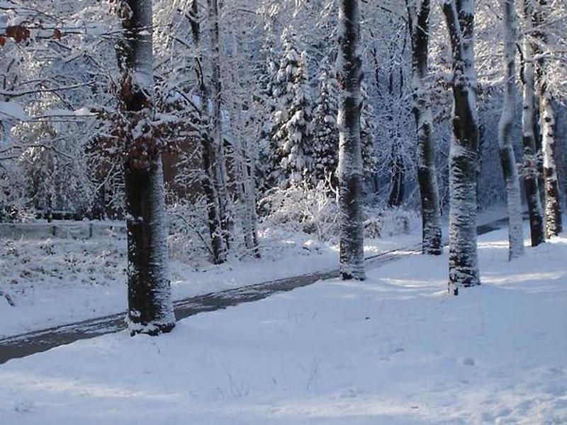 D05627CA208DE4ACFDA039D5A3EA6D05