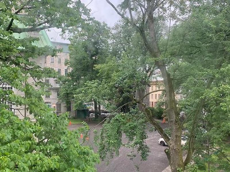 C6A914A3BF3A2C42A1D7F69A35006233