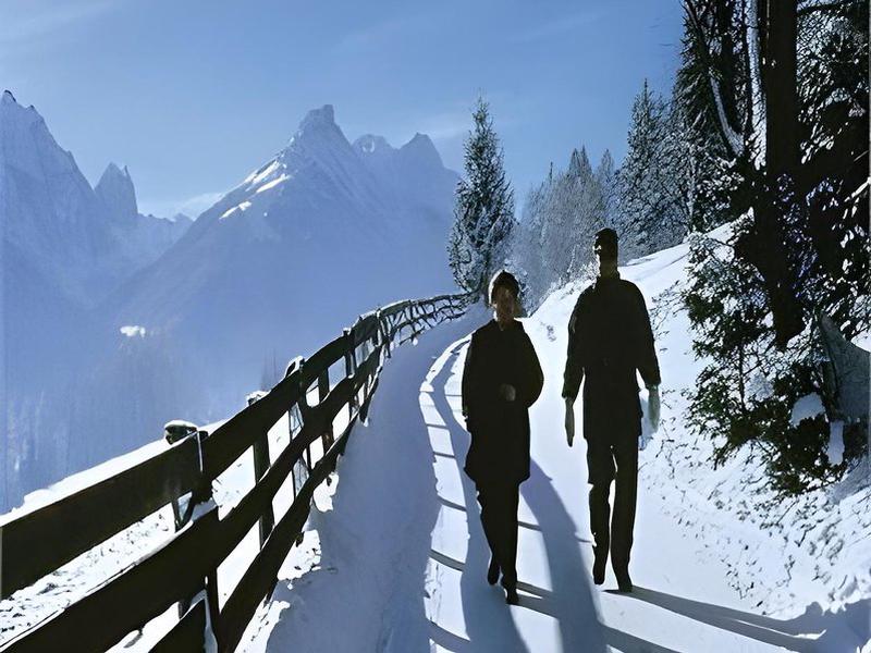 5044F82AE9B4A9CF50069B3A4586C63C