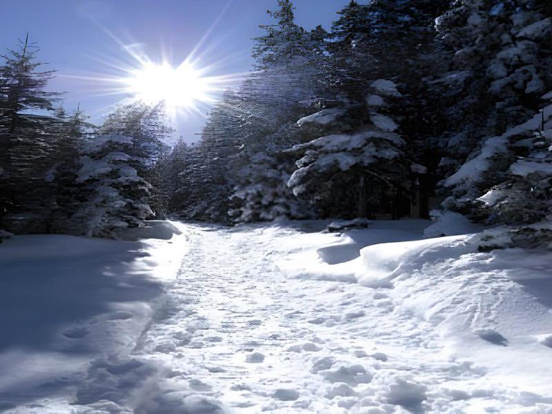 5D79D5162BD73CFB02CD9AB2BA205590