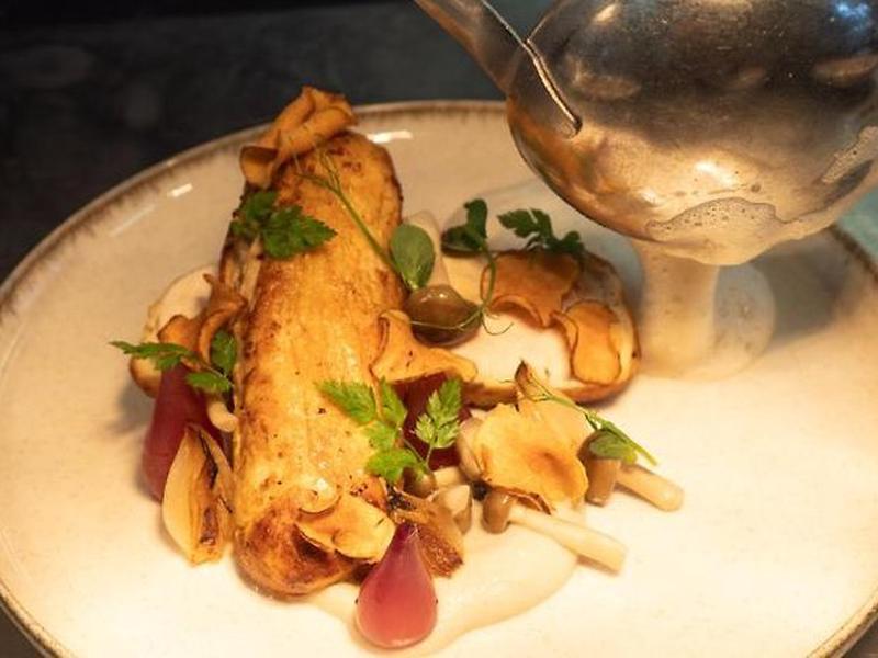 736442EDF308FE38E48AF6261AE0CB51