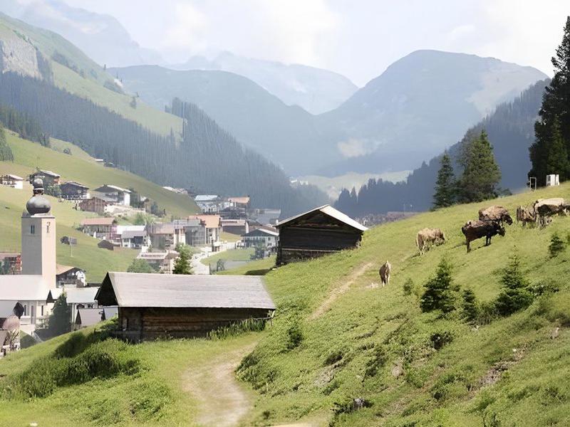 8E0351D9F2A912ADAD4193D4C28CEDA1