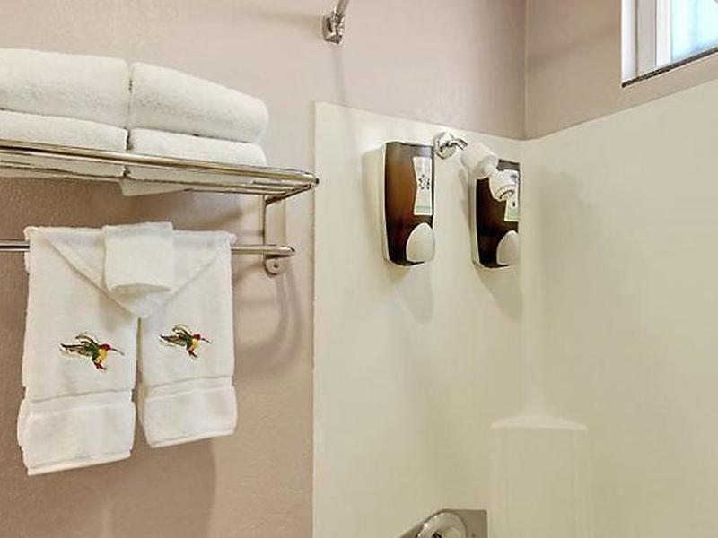 A76F3A1B72A0FFE14D41A6FE088C479D