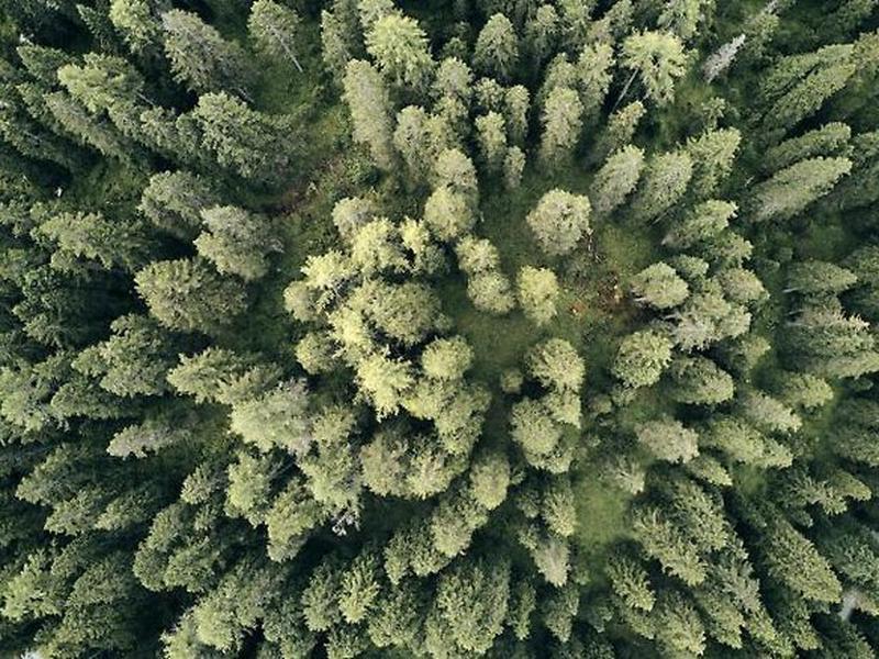 8DF1572BFF35A601E4718FEC3B0168A4