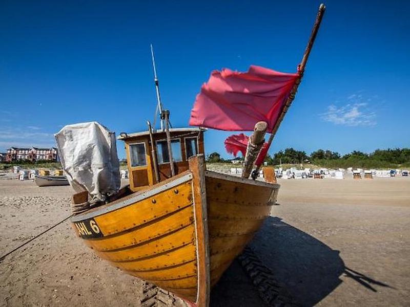 E20B8ED77AEC57DDD94450D9EA86FEE6