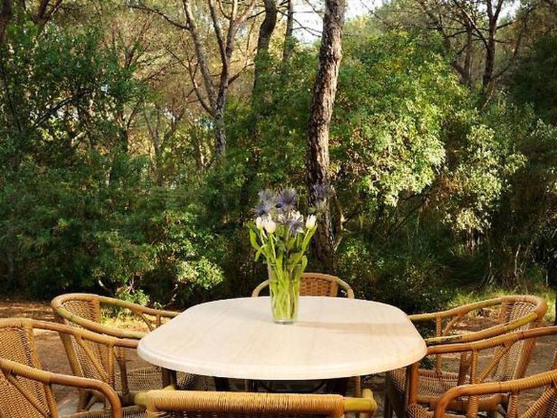 04C24E0301A854A6D46E949A5DFE5B8F