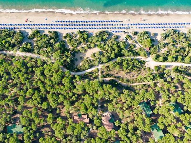 C33D714A035F7AE7616A9220AF3BCC80