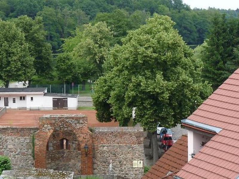 E31B303771C74FCDC0F85B607D260113