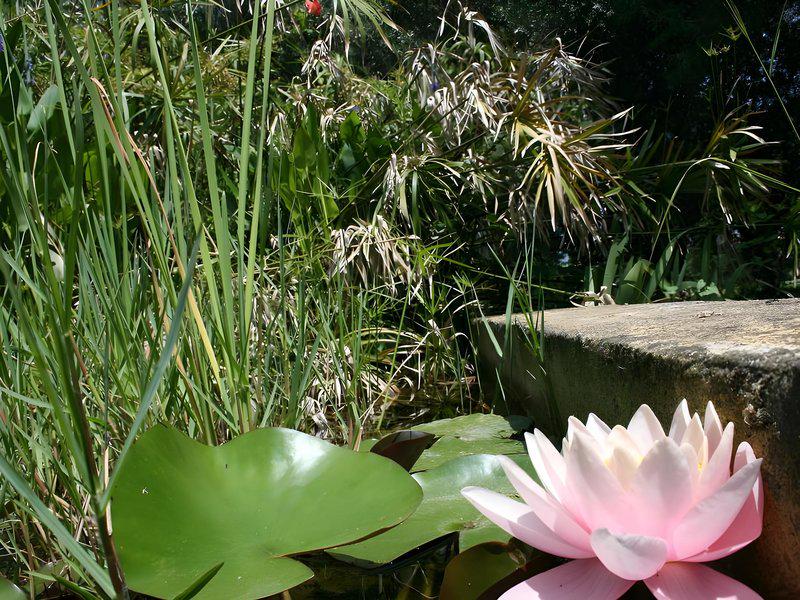 0C4DBD5757F1296613EF38A634D56E0C