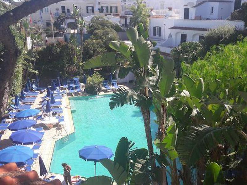 F1A16FEE982C098EFC43DB51D9706743