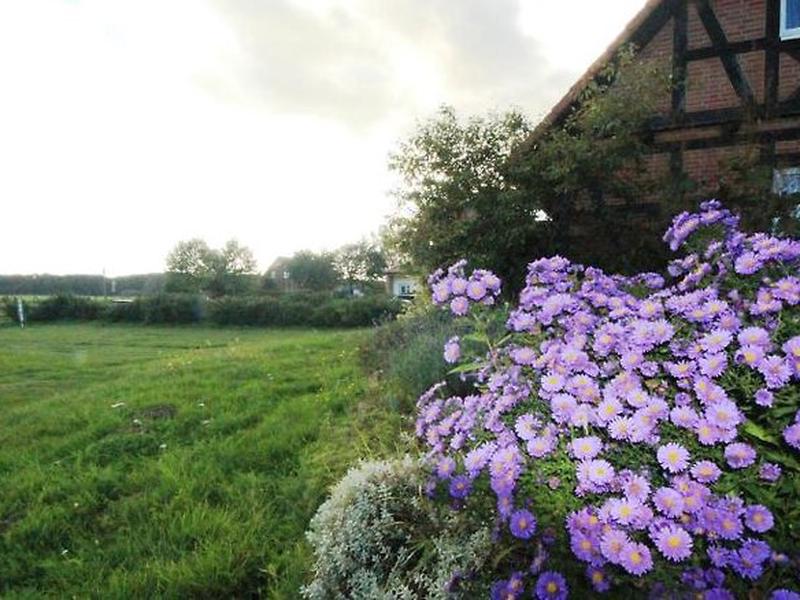 7ADF28BD07221F99203822A630717B6D