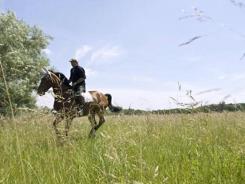 FB3013F953A97924C5458440946D08E9