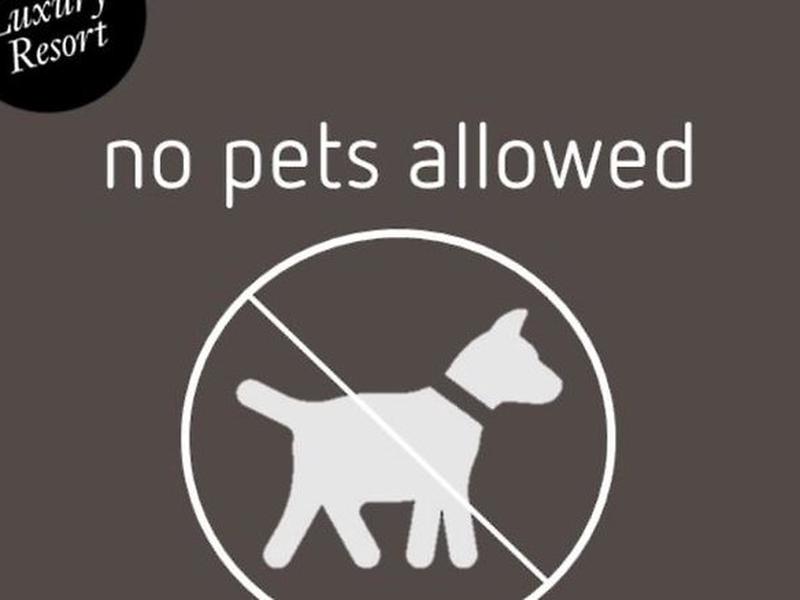 8FFAAFB0A5CE6BAE0CEF29720E65601D