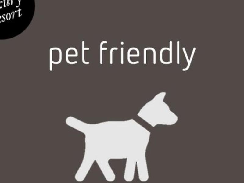 3D23B731079B48F2D91FA9DDA12C7EAE